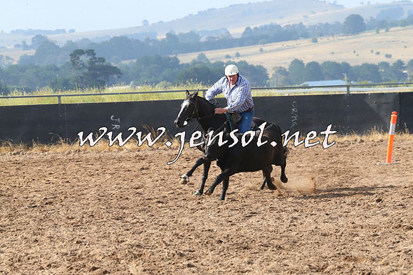 BraidwoodCampdraft2014_0203