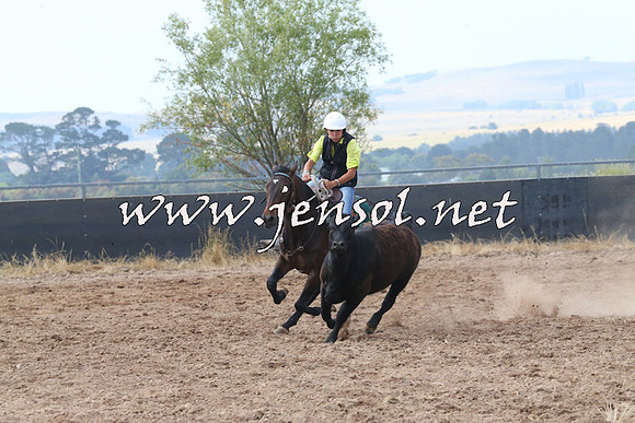 BraidwoodCampdraft2014_0241