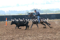 BraidwoodCampdraft2014_0023
