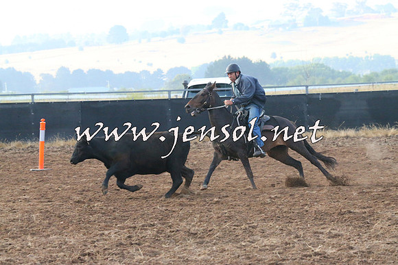 BraidwoodCampdraft2014_0023