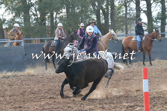 BraidwoodCampdraft2014_0050