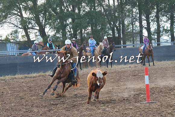 BraidwoodCampdraft2014_0036