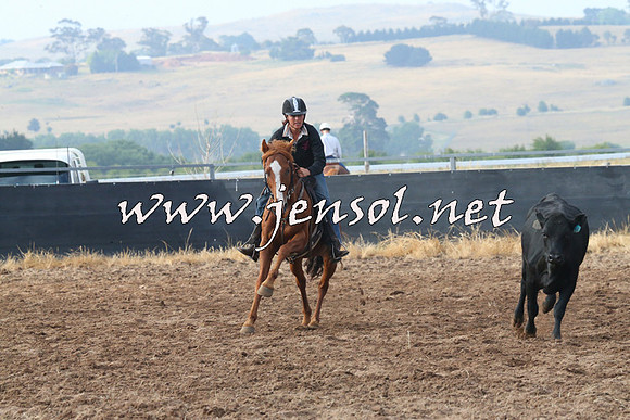 BraidwoodCampdraft2014_0075