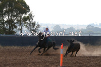 BraidwoodCampdraft2014_0028