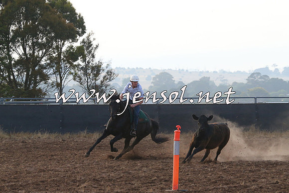 BraidwoodCampdraft2014_0028