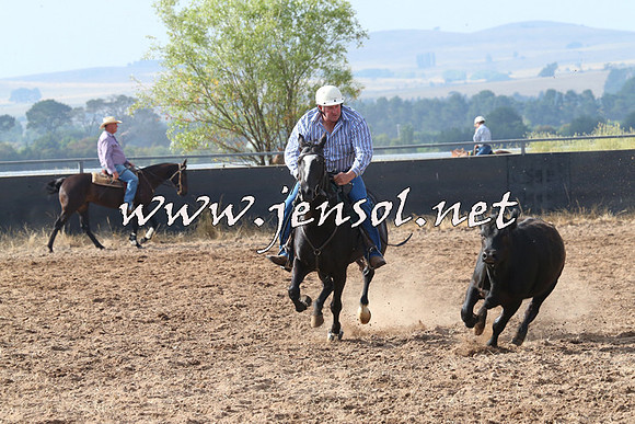 BraidwoodCampdraft2014_0207