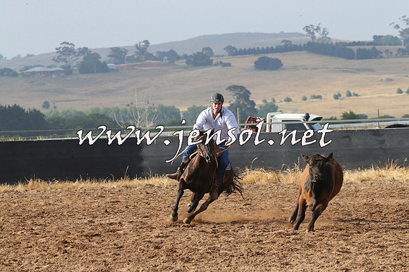 BraidwoodCampdraft2014_0149