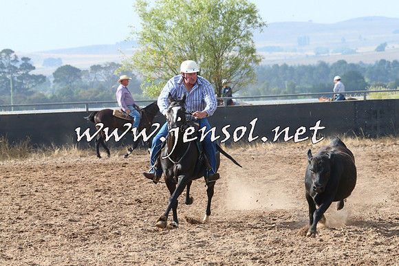 BraidwoodCampdraft2014_0208
