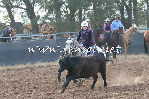 BraidwoodCampdraft2014_0049