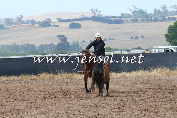 BraidwoodCampdraft2014_0228