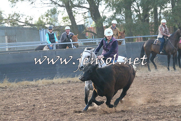 BraidwoodCampdraft2014_0054