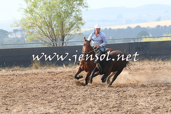 BraidwoodCampdraft2014_0167