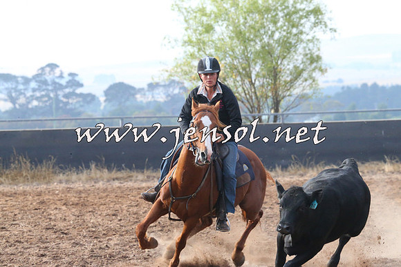 BraidwoodCampdraft2014_0079