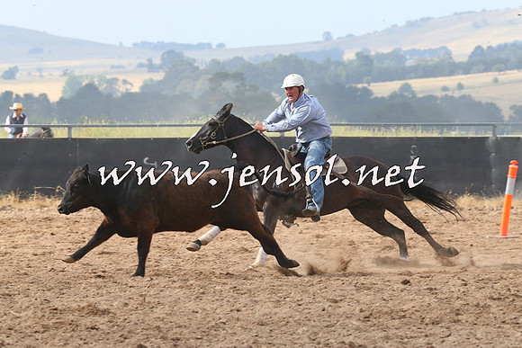 BraidwoodCampdraft2014_0232