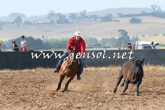 BraidwoodCampdraft2014_0134