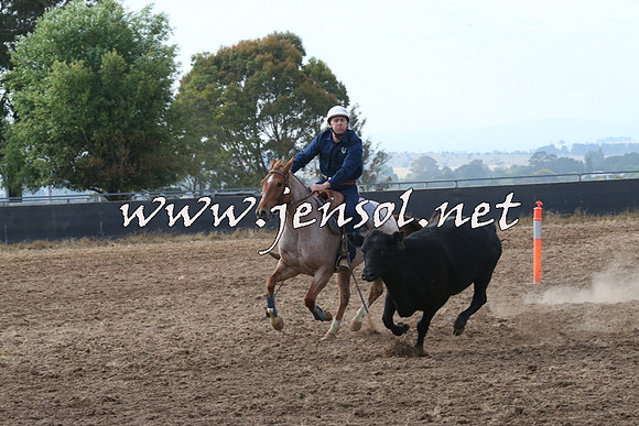 BraidwoodCampdraft2014_0191