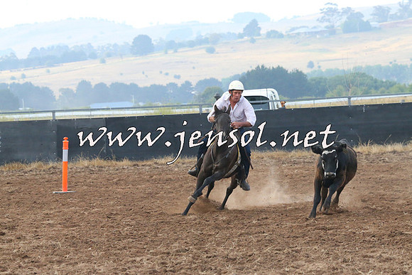BraidwoodCampdraft2014_0071