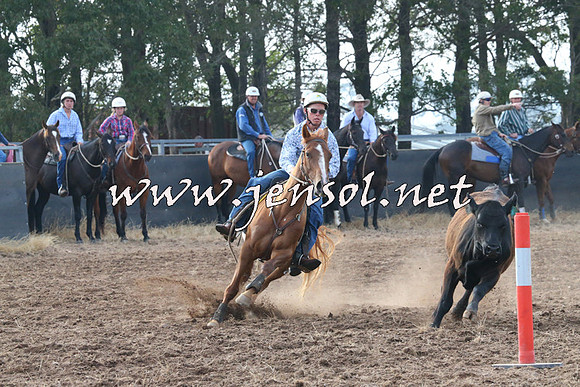 BraidwoodCampdraft2014_0099