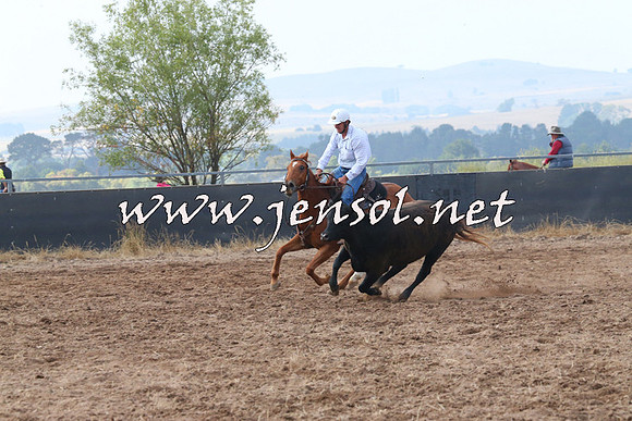 BraidwoodCampdraft2014_0186
