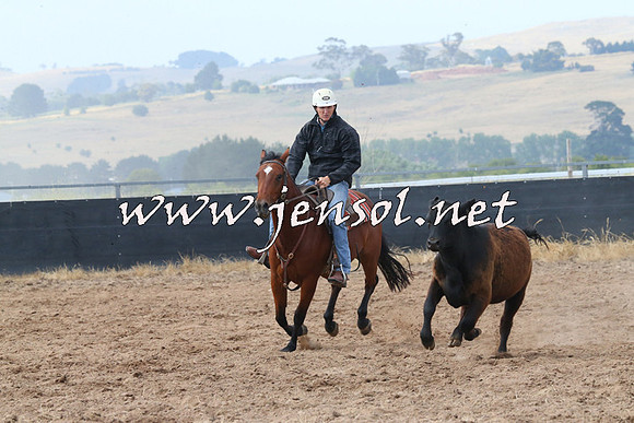 BraidwoodCampdraft2014_0230