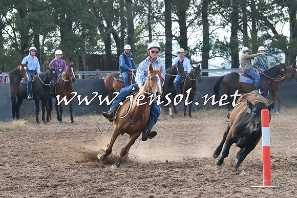 BraidwoodCampdraft2014_0098