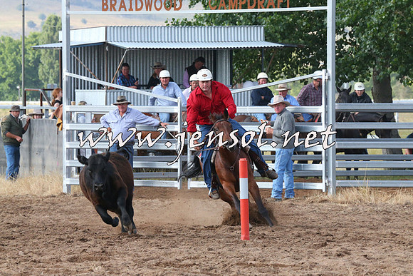 BraidwoodCampdraft2014_0139