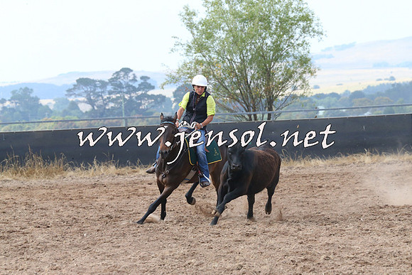 BraidwoodCampdraft2014_0248
