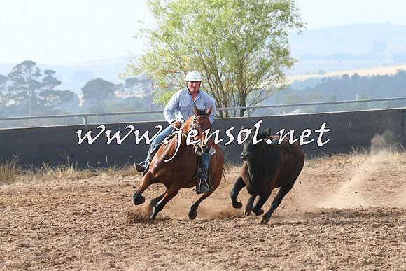 BraidwoodCampdraft2014_0170