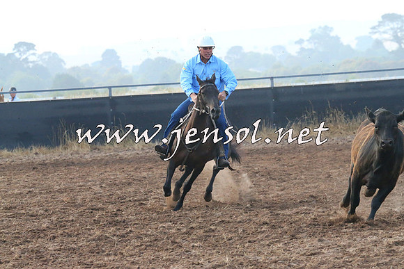 BraidwoodCampdraft2014_0026