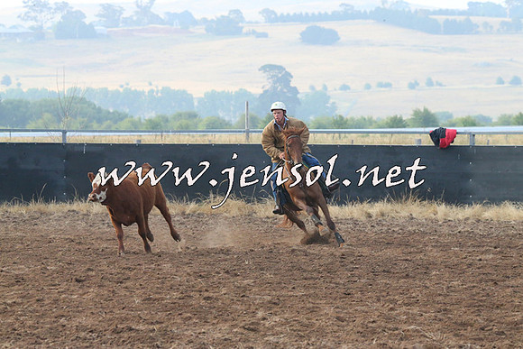 BraidwoodCampdraft2014_0030