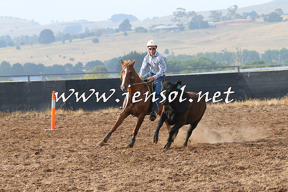 BraidwoodCampdraft2014_0090