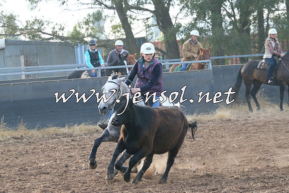 BraidwoodCampdraft2014_0053