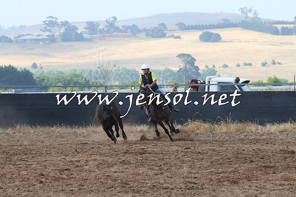 BraidwoodCampdraft2014_0175