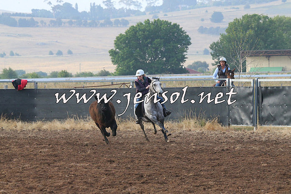 BraidwoodCampdraft2014_0041