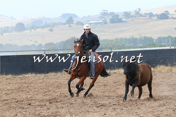 BraidwoodCampdraft2014_0229