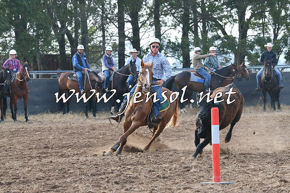 BraidwoodCampdraft2014_0102