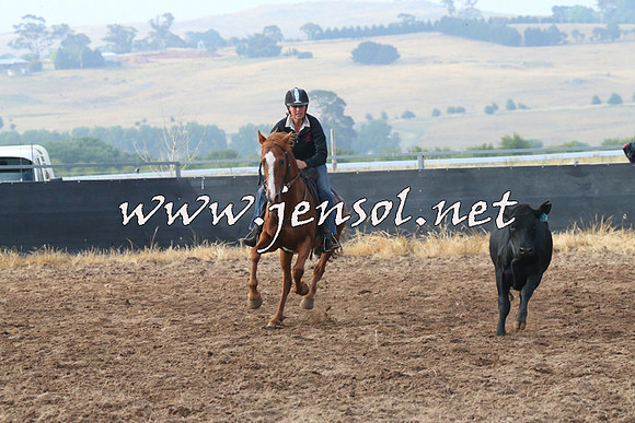 BraidwoodCampdraft2014_0072