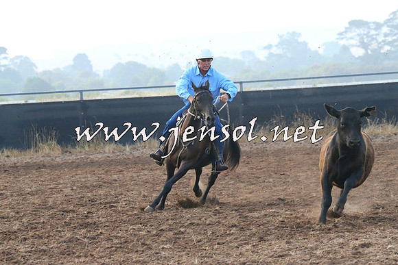 BraidwoodCampdraft2014_0027