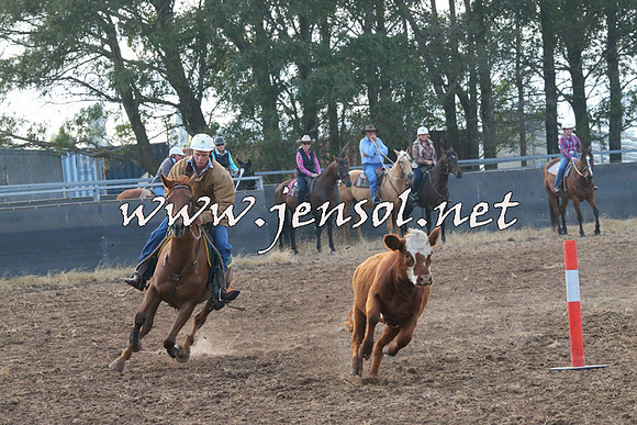 BraidwoodCampdraft2014_0035