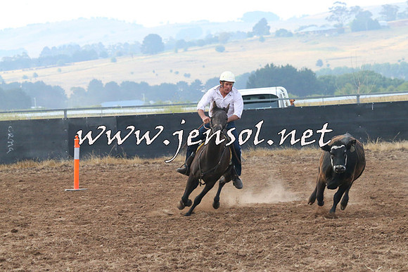 BraidwoodCampdraft2014_0070