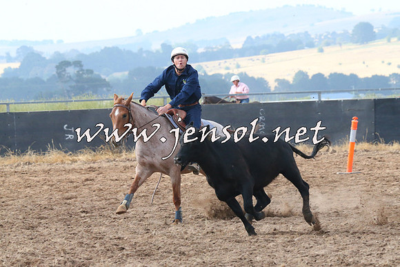 BraidwoodCampdraft2014_0187