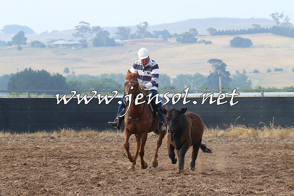 BraidwoodCampdraft2014_0104