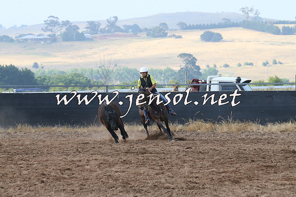 BraidwoodCampdraft2014_0176