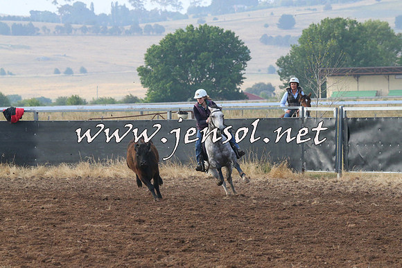 BraidwoodCampdraft2014_0045