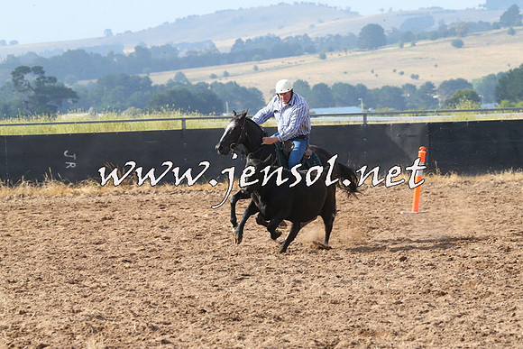 BraidwoodCampdraft2014_0202
