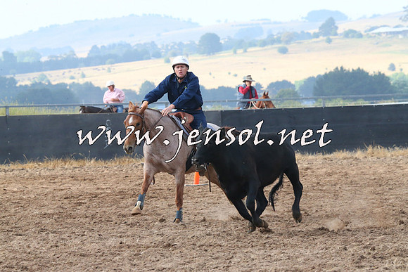 BraidwoodCampdraft2014_0190