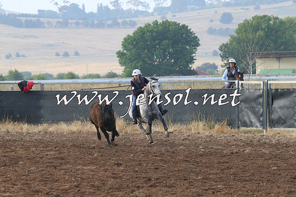 BraidwoodCampdraft2014_0040