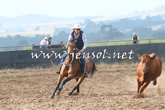 BraidwoodCampdraft2014_0142