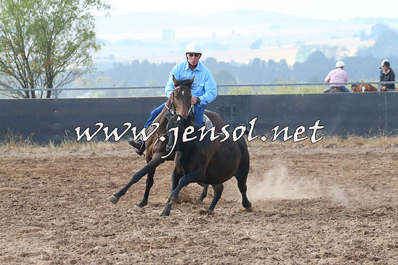 BraidwoodCampdraft2014_0114