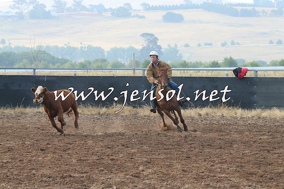 BraidwoodCampdraft2014_0031